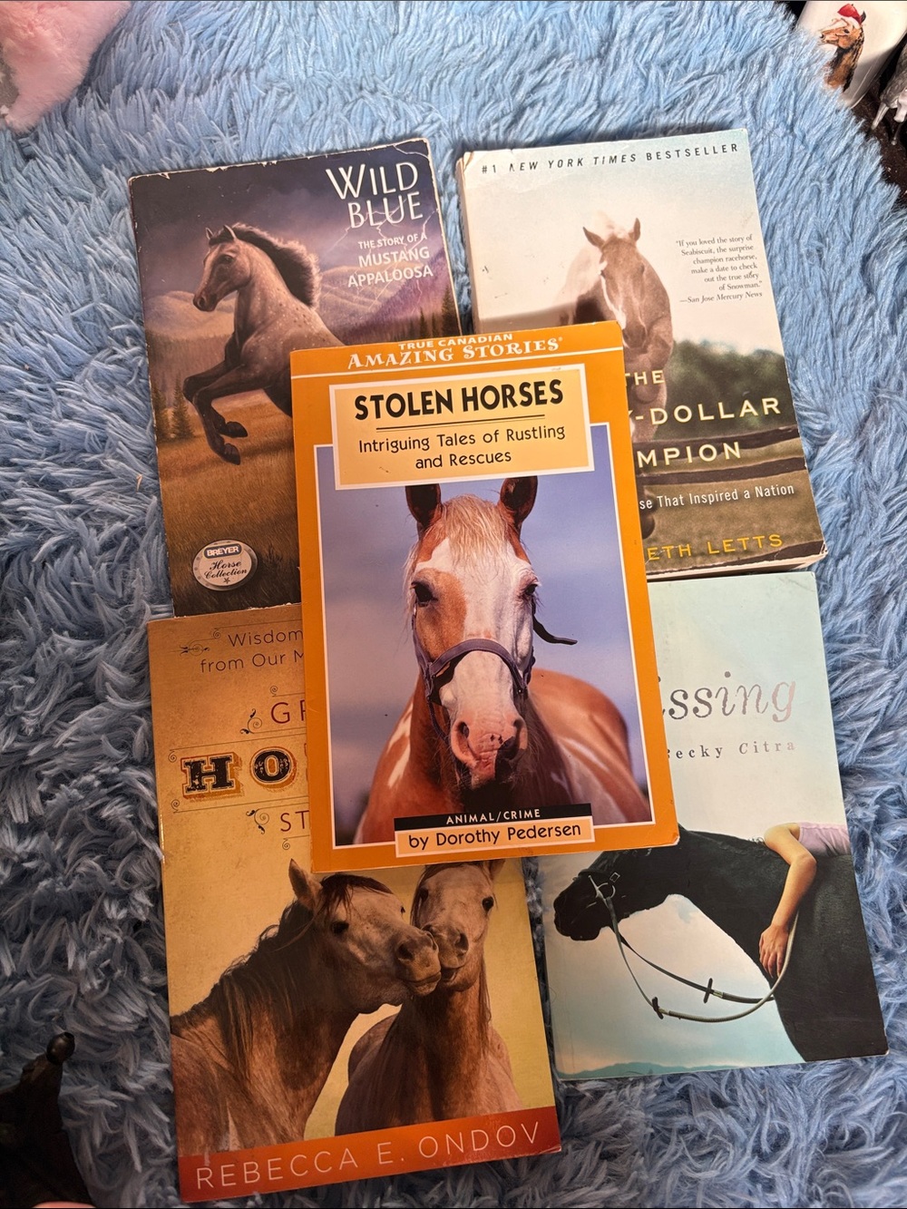 Horse book bundle